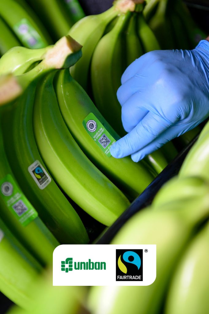 Fairtrade bananas uniban