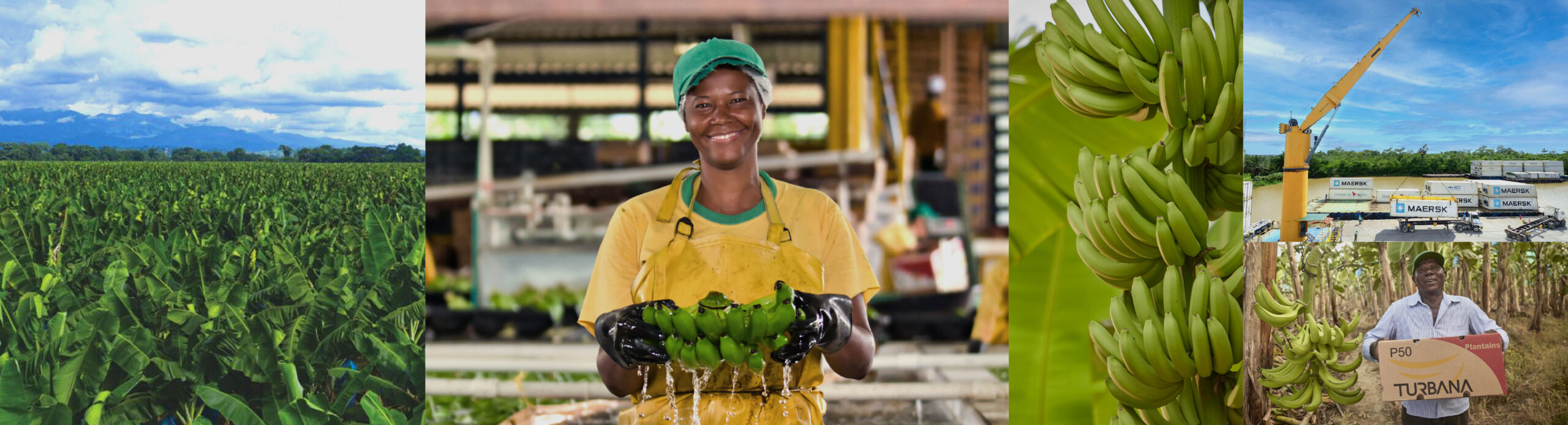 Uniban Sustainability Report 2025
